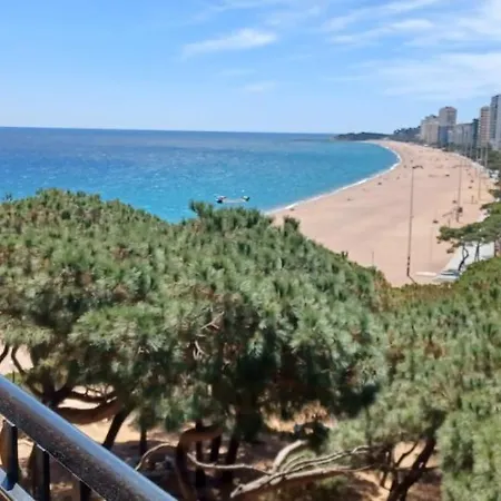 Apartamento Cavall Bernat 49 *